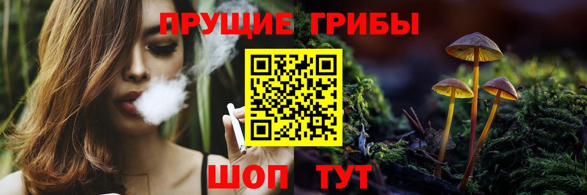 Галлюциногенные грибы GOLDEN TEACHER  Вход с VPN  Лесозаводск 